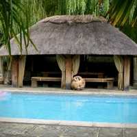 The Dower House
